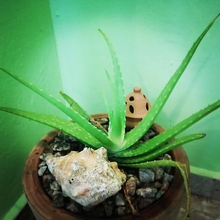 Scorpion Hill Lodge Busua Ruang foto