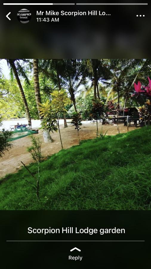 Scorpion Hill Lodge Busua Bagian luar foto