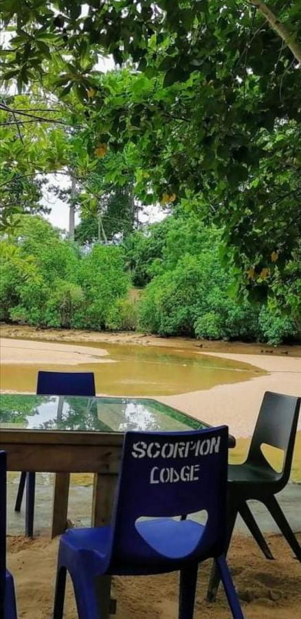 Scorpion Hill Lodge Busua Bagian luar foto
