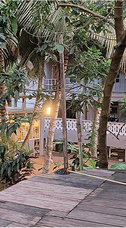 Scorpion Hill Lodge Busua Bagian luar foto