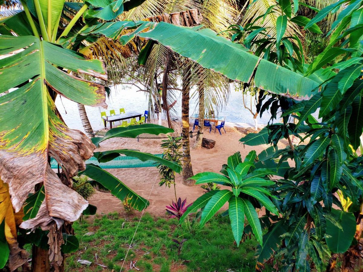 Scorpion Hill Lodge Busua Bagian luar foto