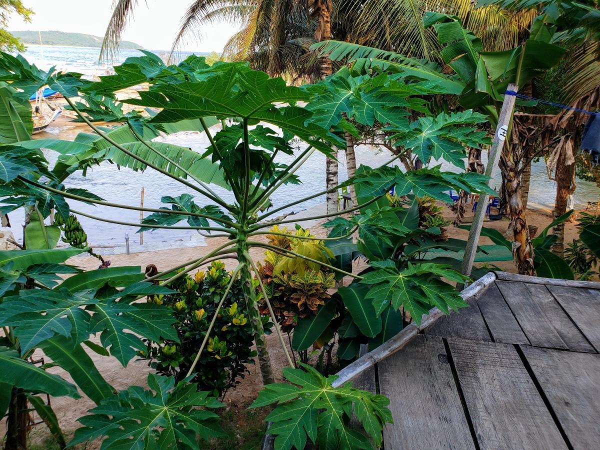 Scorpion Hill Lodge Busua Bagian luar foto