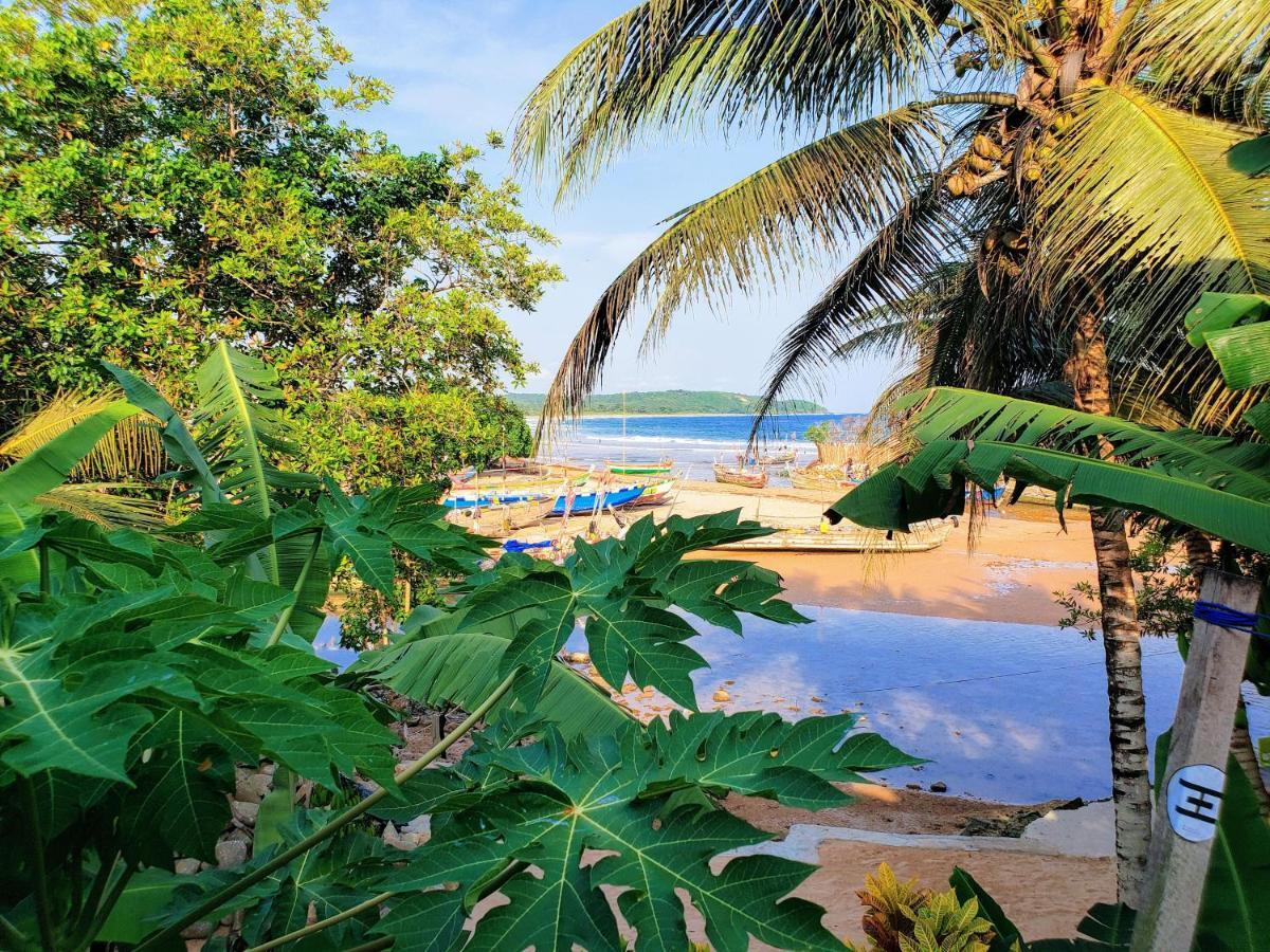 Scorpion Hill Lodge Busua Bagian luar foto